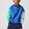 Baby & Kleinkind-Sweatshirt „Vintagesoft“ mit Farbblock-Design