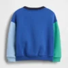 Baby & Kleinkind-Sweatshirt „Vintagesoft“ mit Farbblock-Design