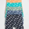 Boxershorts aus Bio-Stretch-Baumwolle für Kinder (5er-Pack)