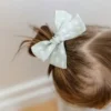 Das „Abigail“-Haarspangen-Set