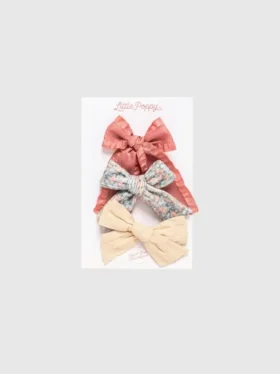 Das Adaline-Schleifen-Clip-Set