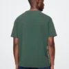 Grafik-T-Shirt für Erwachsene der NFL Green Bay Packers