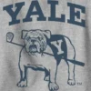 Kinder-Sweatshirt mit Yale-University-Motiv