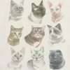 Kinder-T-Shirt mit Katzen-Motiv