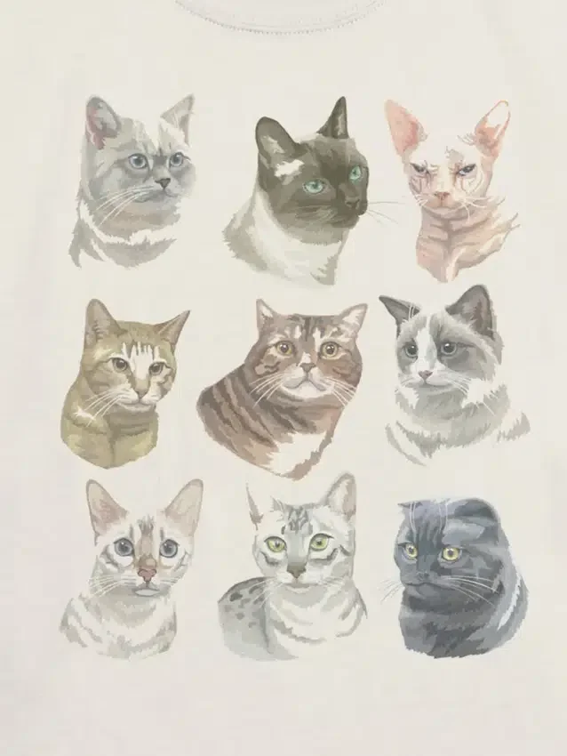 Kinder-T-Shirt mit Katzen-Motiv