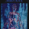 Nirvana Heavyweight Crop-T-Shirt mit Grafik