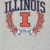 T-Shirt mit dunklem „Laurels“-Motiv der University of Illinois