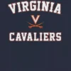 T-Shirt mit klassischem Campus-Motiv der University of Virginia