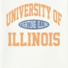 University of Illinois Vintage „Fighting Illini“-Grafik-T-Shirt