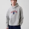 Vintagesoft Oversized-Hoodie mit Americana-Logo